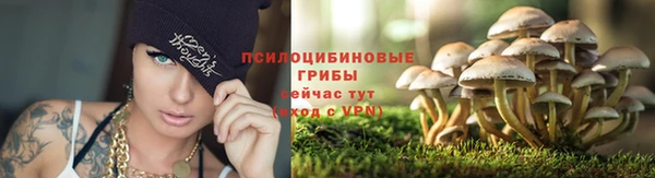 кокаин Белокуриха